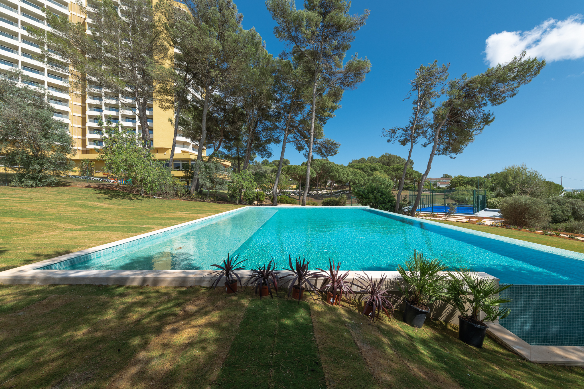 Pestana Delfim foto 14