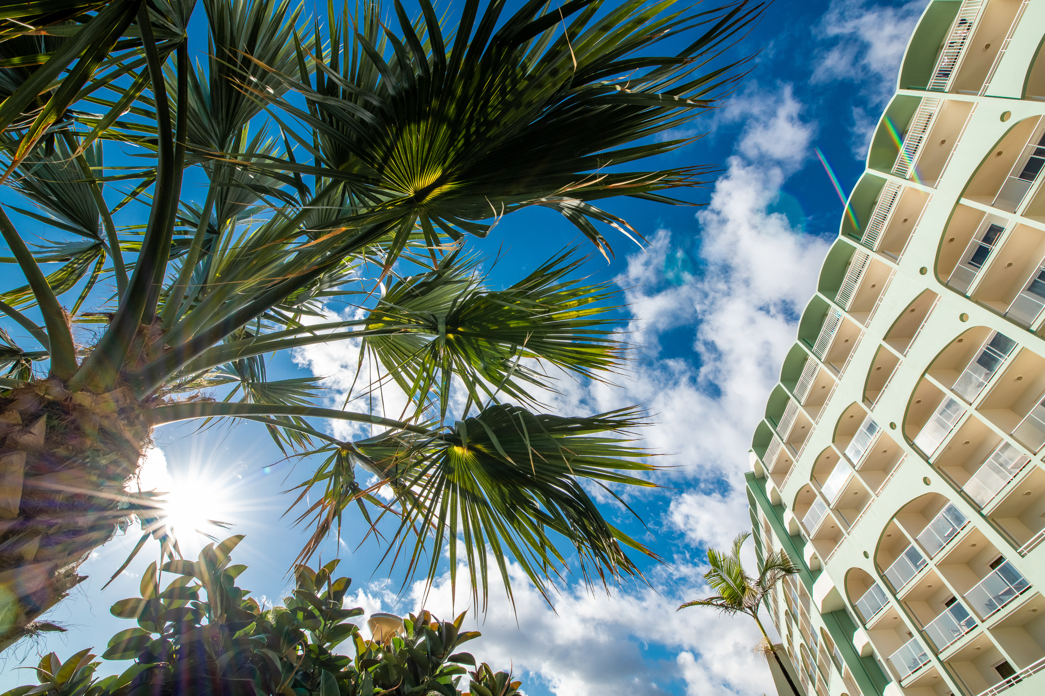 Pestana Ocean Bay foto 60