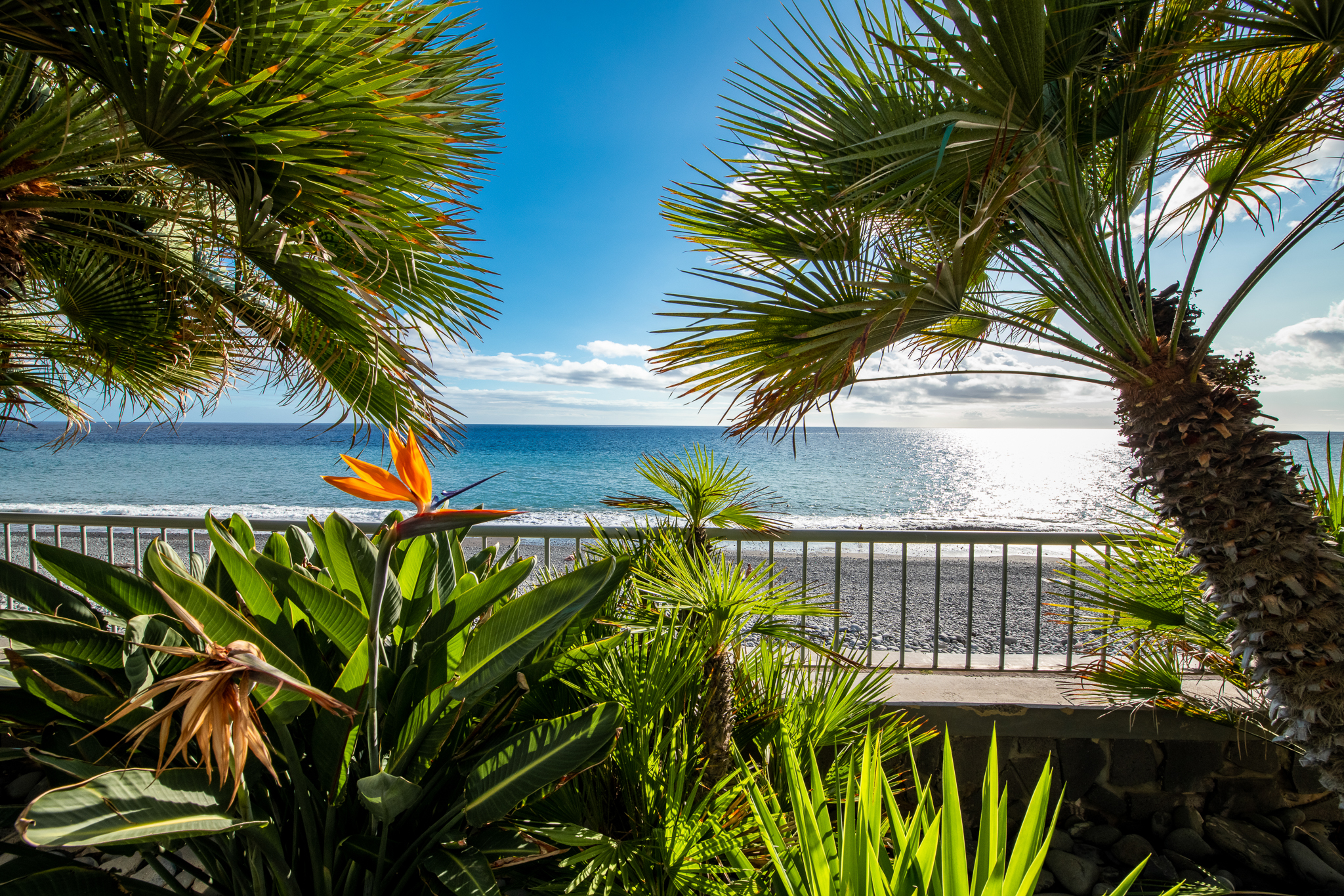 Pestana Ocean Bay foto 63