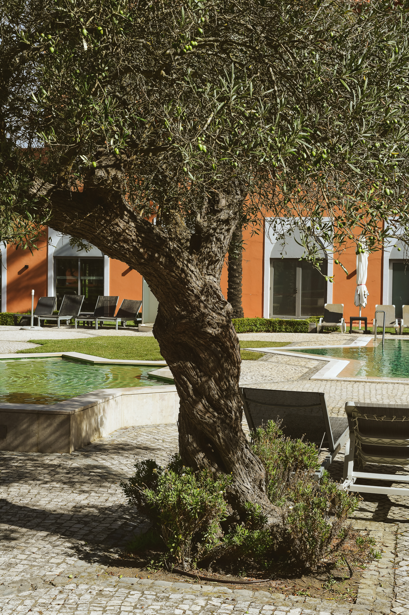 Pestana Sintra Golf foto 165