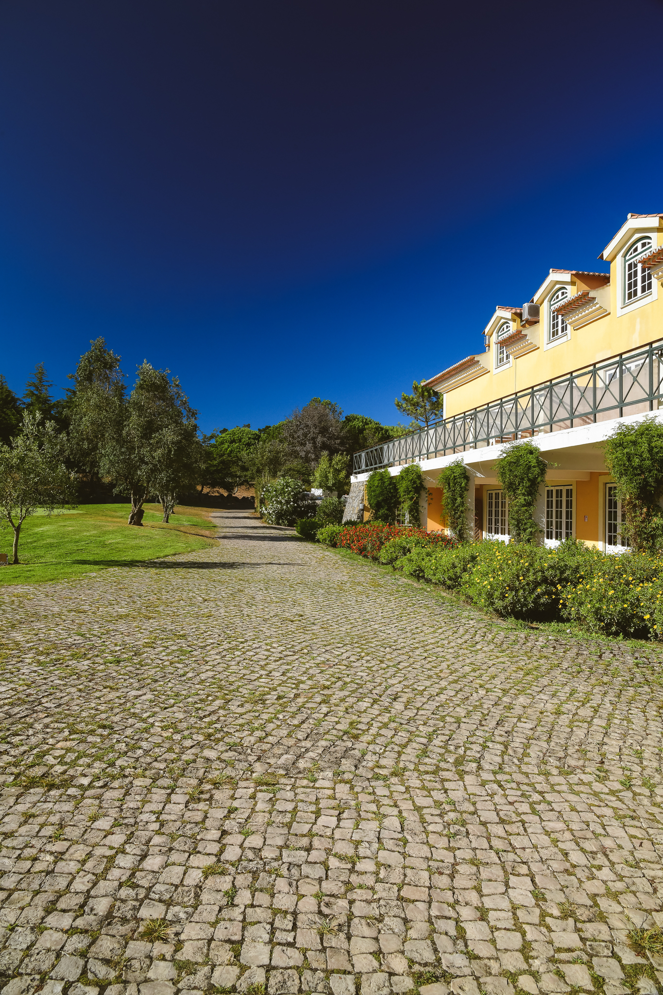 Pestana Sintra Golf foto 181