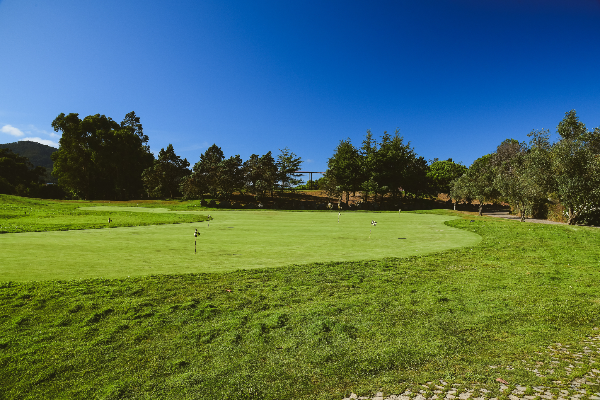 Pestana Sintra Golf foto 183