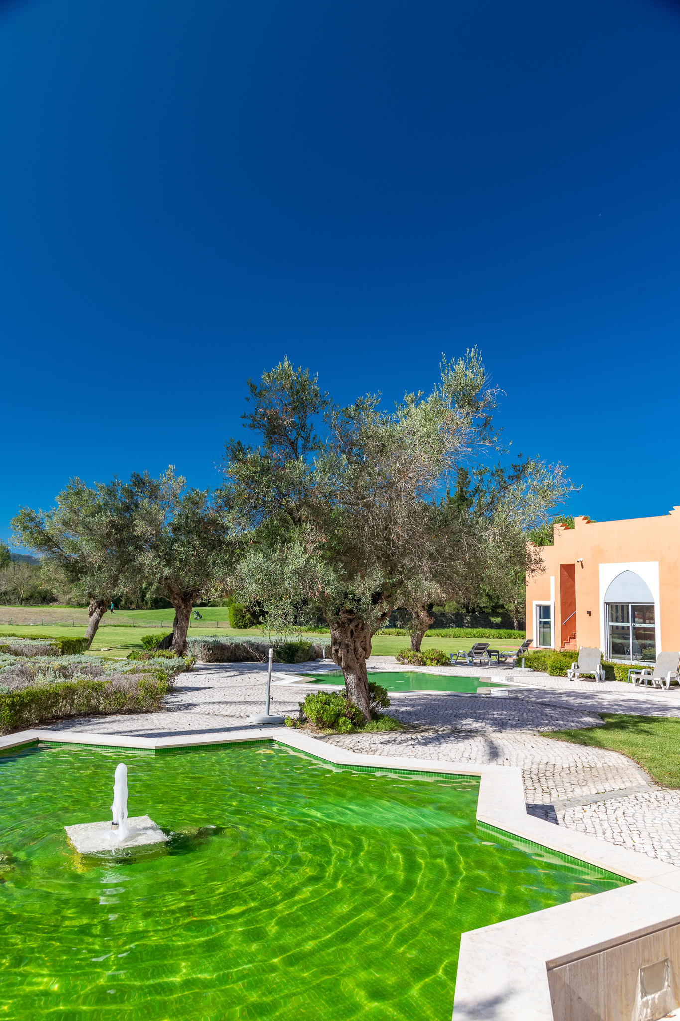 Pestana Sintra Golf foto 75