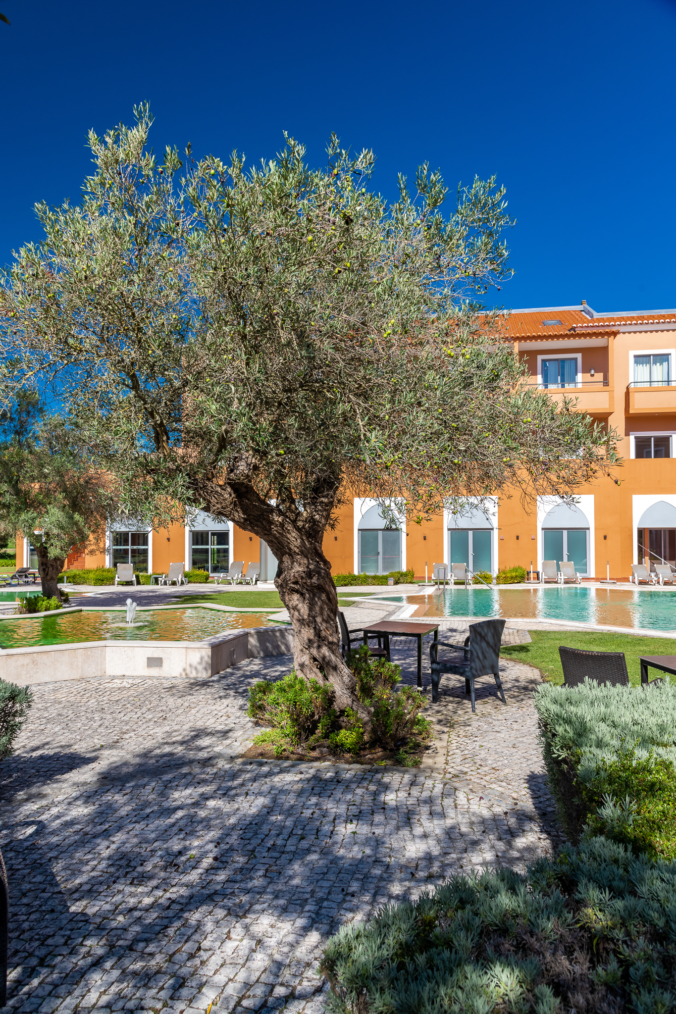 Pestana Sintra Golf foto 83
